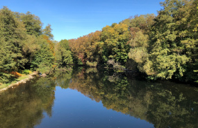 Au bord de la Moselle