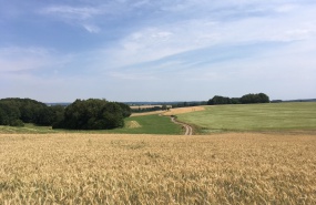 La Vôge