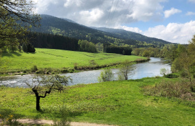 Paysage des Vosges