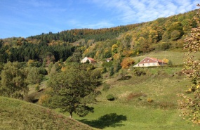 Bussang 1