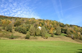 Bussang