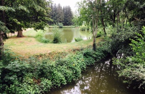 Etang et rivière
